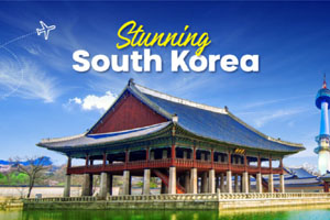 South Korea Tour